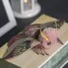 Realistic Moth Doll – insect toy with hidden magnet for versatile display