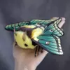 cute Spanish Moon Moth plush art doll with cartoon-style wings resting in a hand