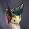 Cute Spanish Moon Moth plush doll with bright wings and fluffy yellow body, held in hand