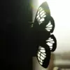 Silhouette of moth doll with transparent parts of wings on window background, low key photo, shows transparency of wings.