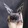 Brown Moth Plush Doll - Image 7