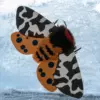 Handmade Garden Tiger Moth doll with brown faux fur body, red collar, yellow wings (blue spots), and brown/white camo wings — on frosted glass.