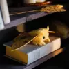 Yellow Io Moth art doll with golden wings resting in a warm indoor setting